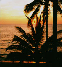 Tramonto a Puerto Vallarta